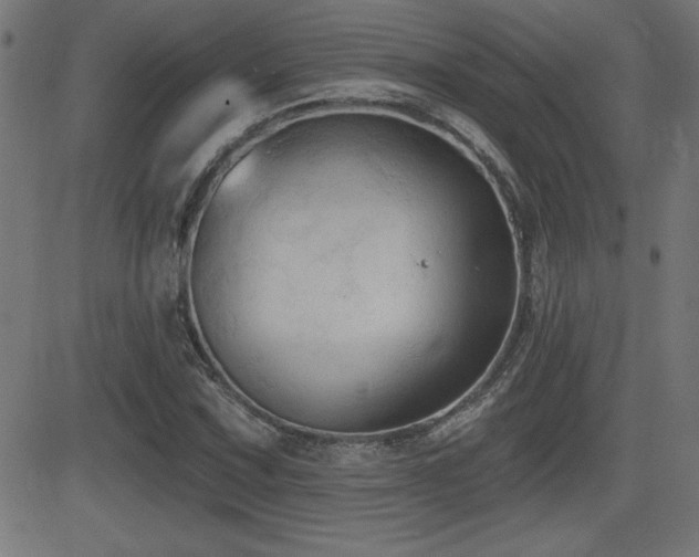 X0000081381067200701111446