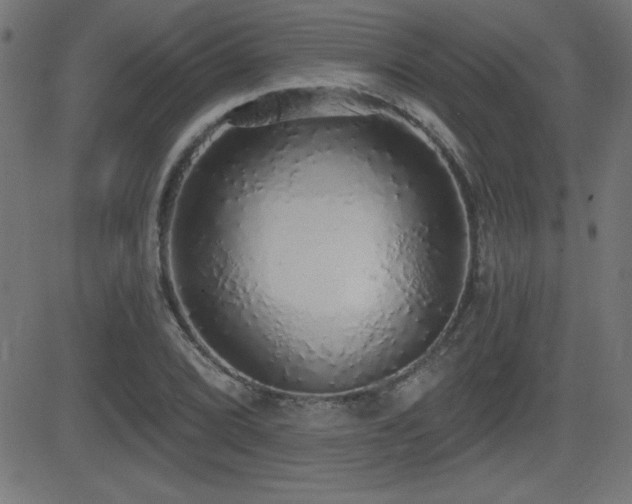 X0000081381072200701111446
