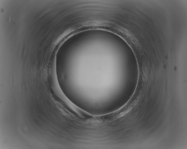 X0000081381073200701111446