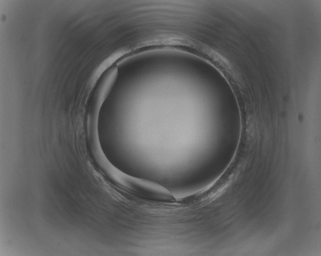 X0000081381081200701111446