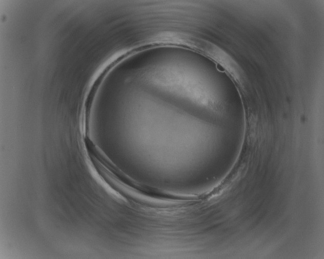 X0000081381084200701111446