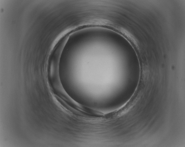 X0000081381085200701111446