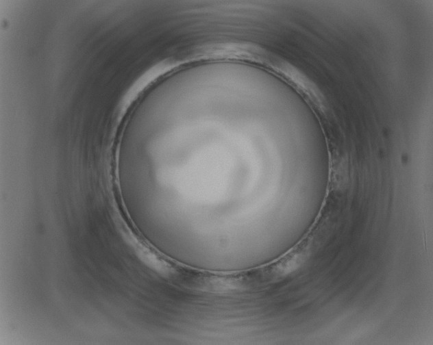 X0000081381086200701111446