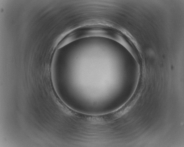 X0000081381089200701111446