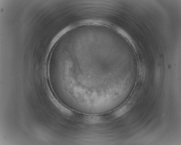 X0000081381090200701111446