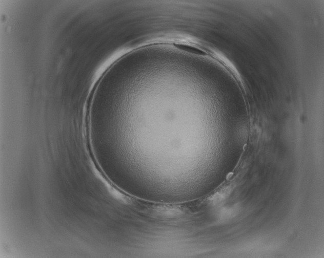 X0000081381103200701111446