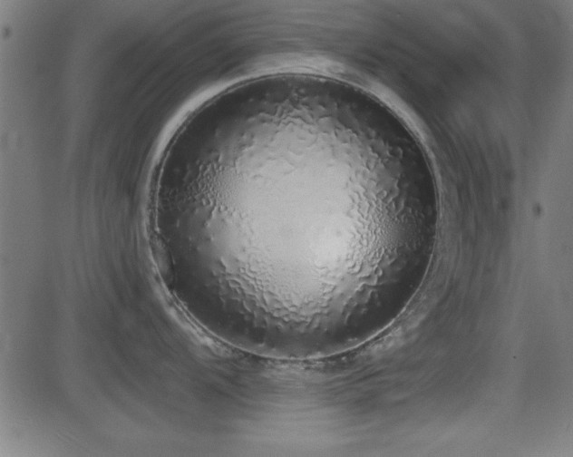 X0000081381104200701111446
