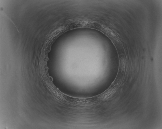 X0000081381105200701111445