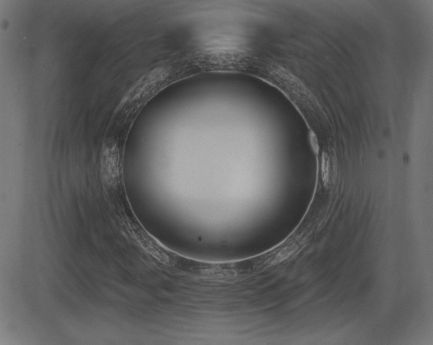 X0000081381107200701111445