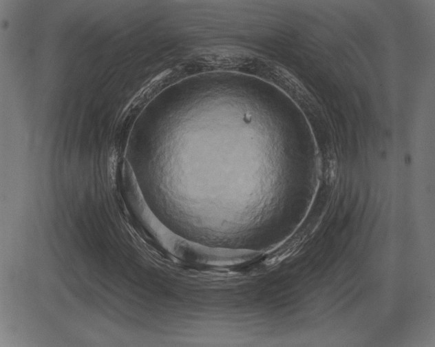 X0000081381108200701111445