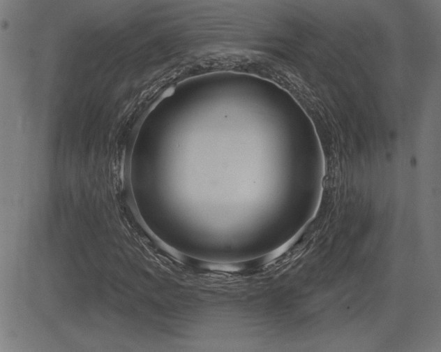 X0000081381109200701111445