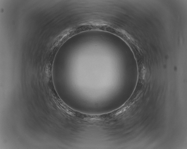 X0000081381110200701111445