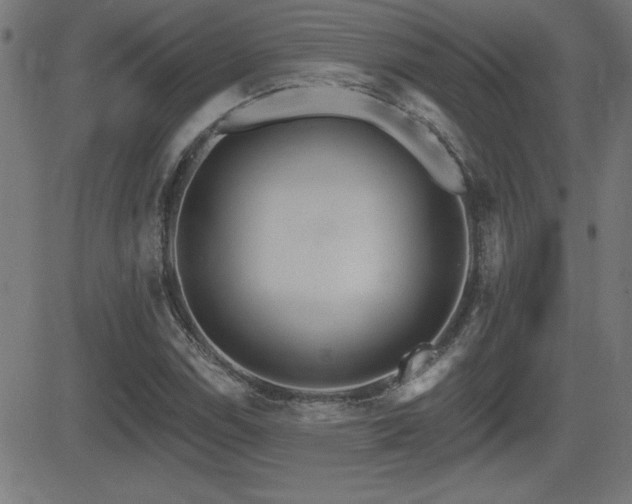 X0000081381114200701111445
