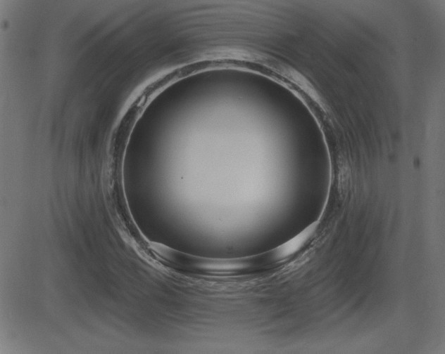 X0000081381116200701111445
