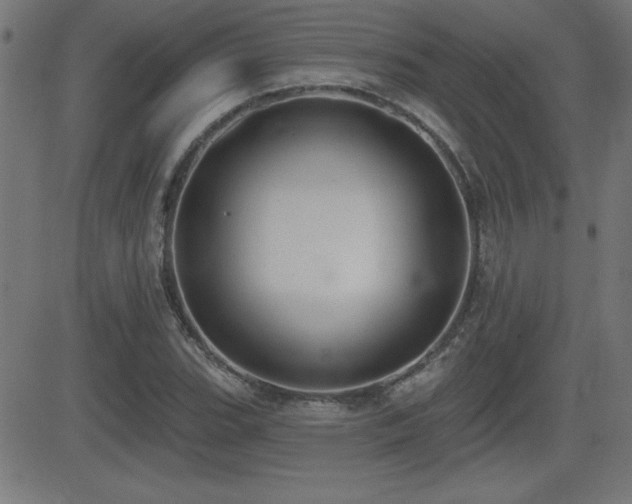 X0000081381119200701111445