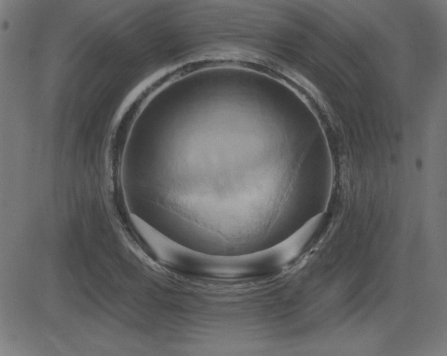 X0000081381120200701111445