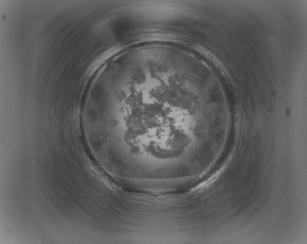 X0000081381121200701111445