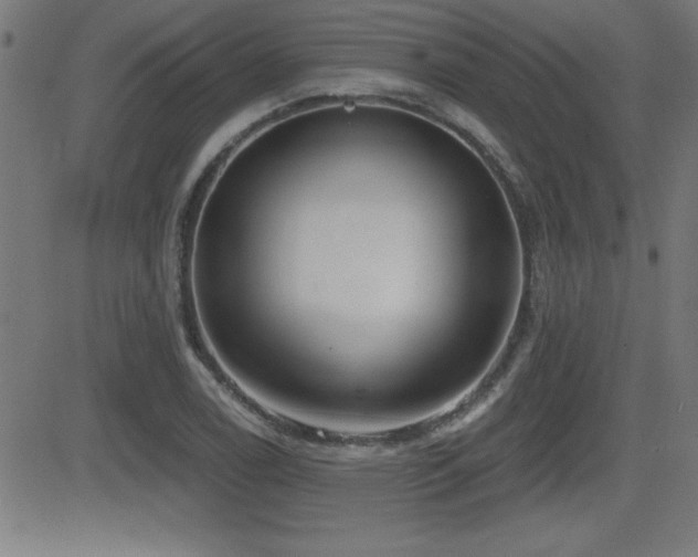 X0000081381122200701111445
