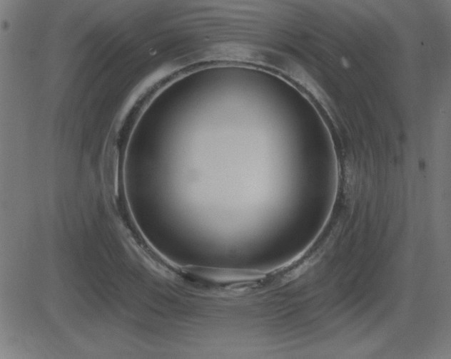 X0000081381123200701111445