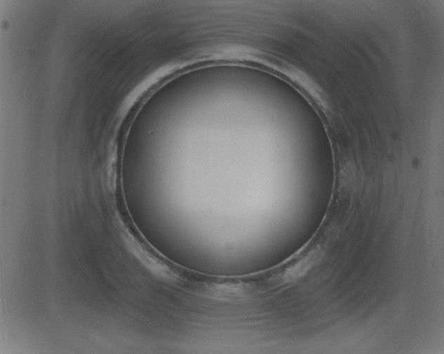 X0000081381126200701111445