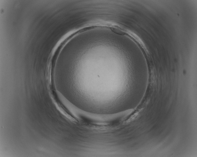 X0000081381128200701111445