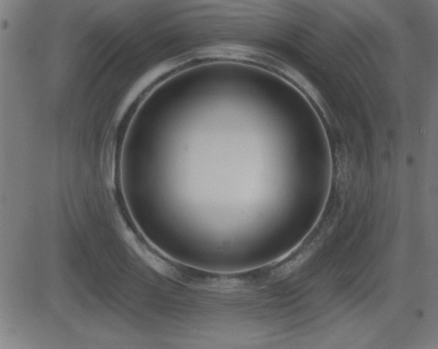 X0000081381131200701111445