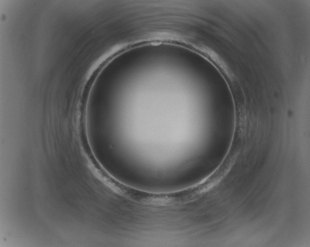 X0000081381134200701111445