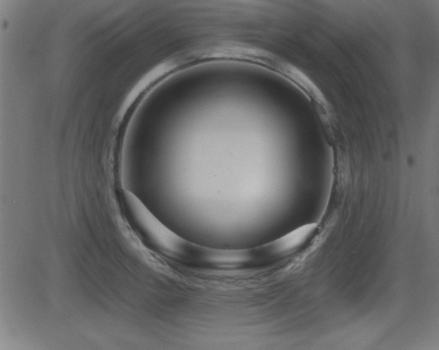 X0000081381138200701111445