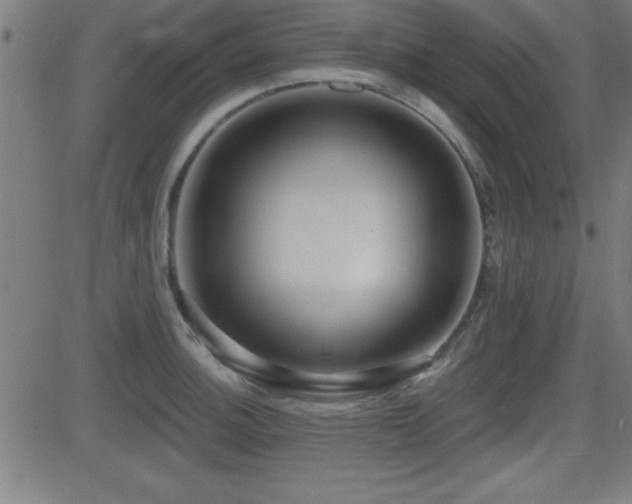 X0000081381140200701111445