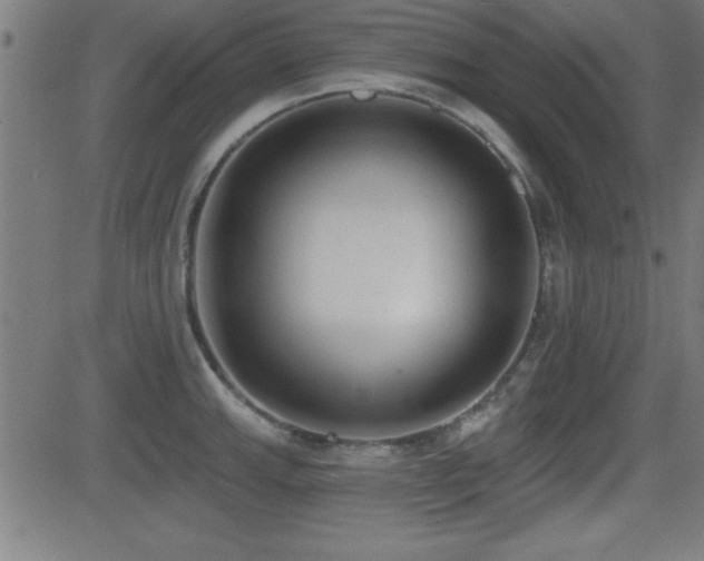 X0000081381143200701111445