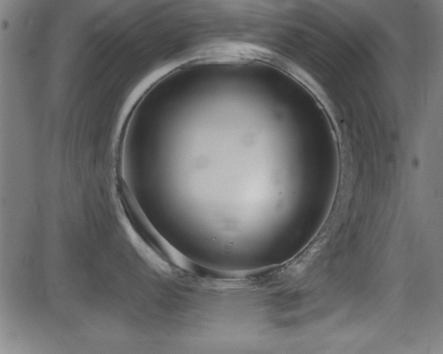 X0000081381152200701111446