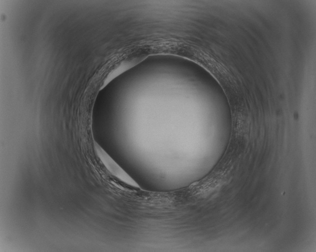 X0000081381153200701111445