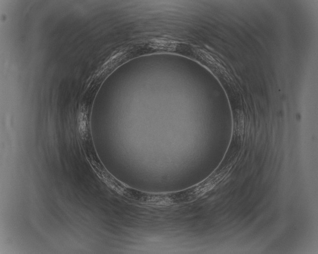X0000081381154200701111445