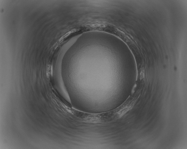 X0000081381156200701111445