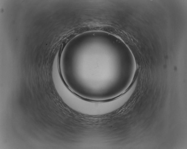 X0000081381157200701111445