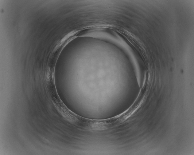 X0000081381161200701111445