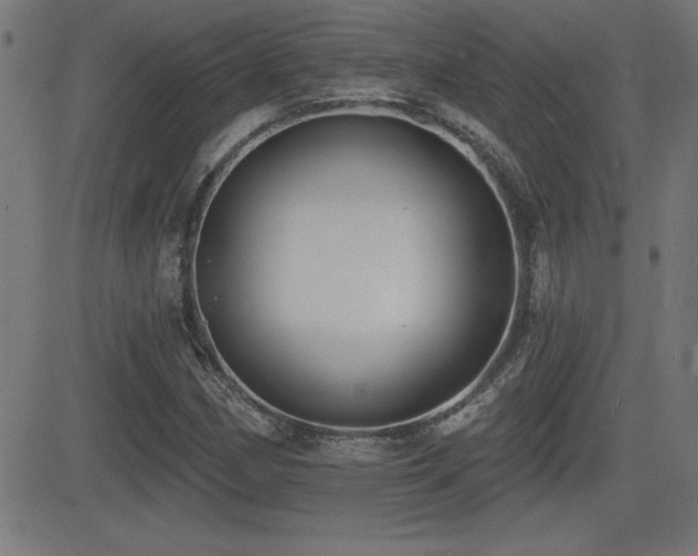 X0000081381162200701111445