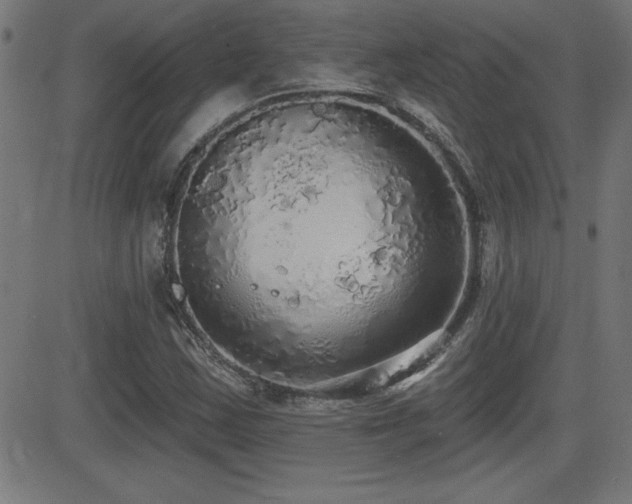 X0000081381163200701111445