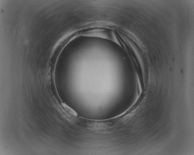 X0000081381164200701111445