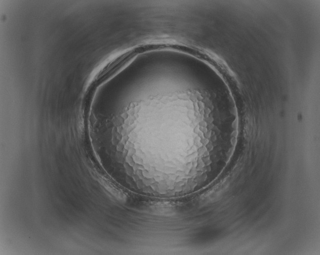 X0000081381167200701111445