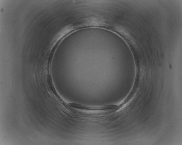 X0000081381170200701111445