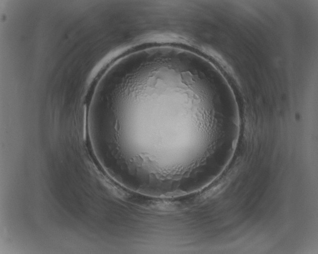 X0000081381175200701111444