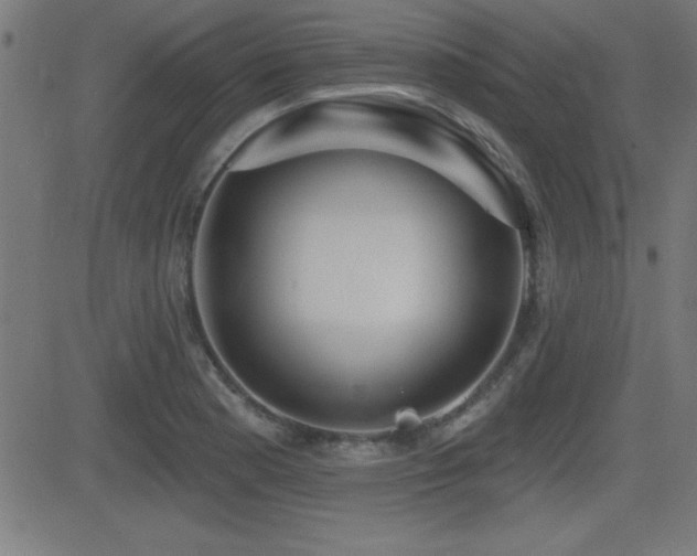 X0000081381177200701111444