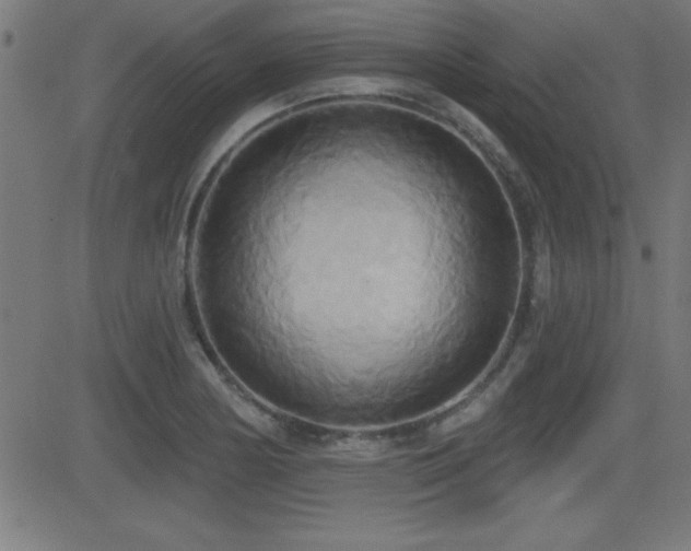 X0000081381178200701111444