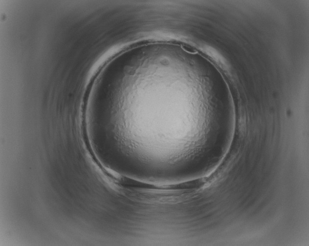 X0000081381183200701111444