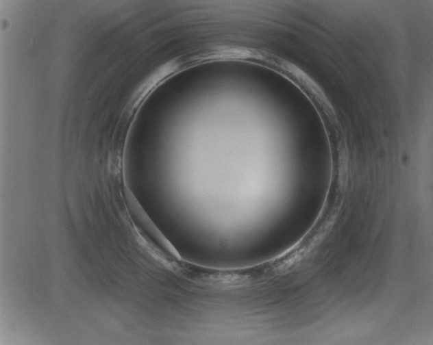 X0000081381193200701111444