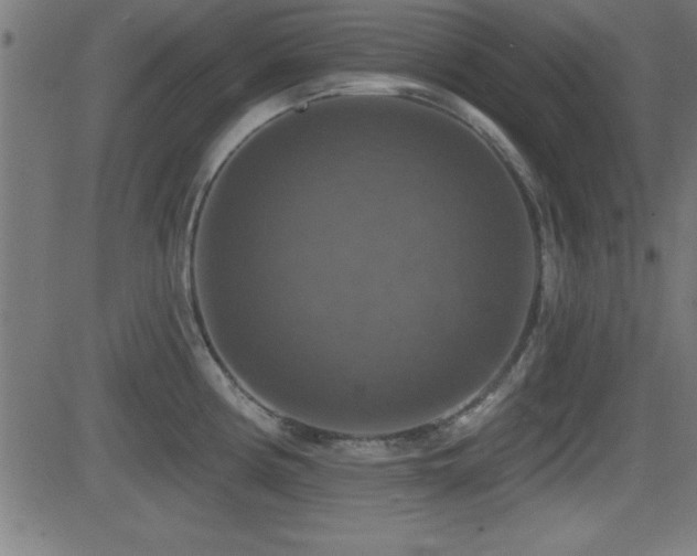 X0000081381194200701111444