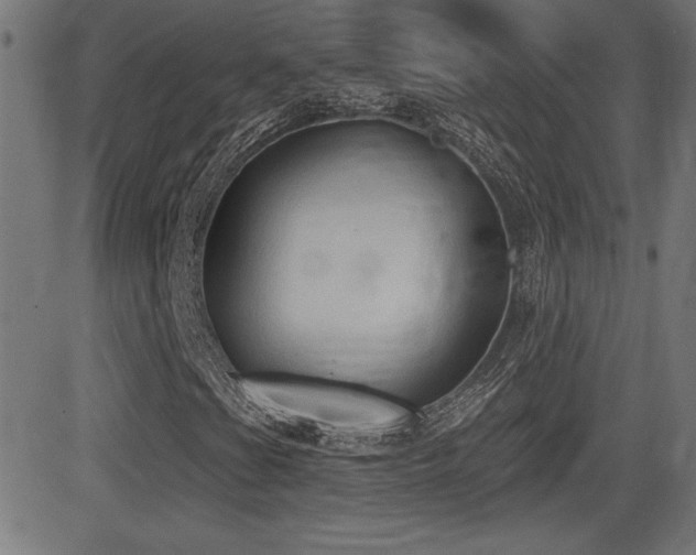 X0000081381201200701111443