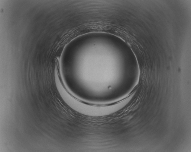 X0000081381202200701111443