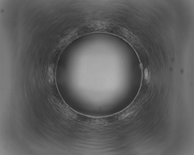 X0000081381203200701111443